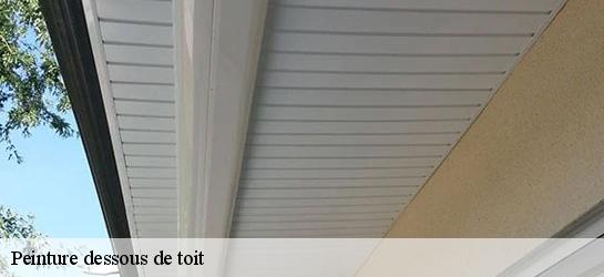 Peinture dessous de toit  59251