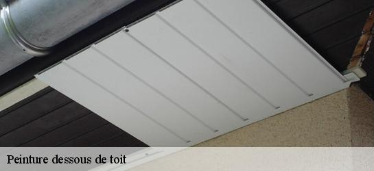 Peinture dessous de toit  59251