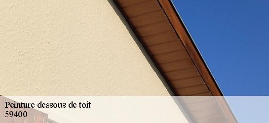 Peinture dessous de toit  59400