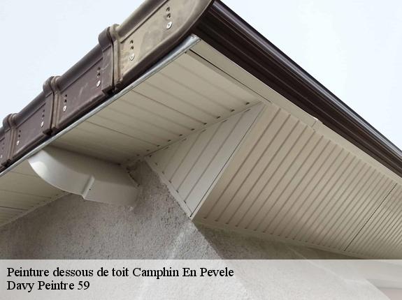 Peinture dessous de toit  camphin-en-pevele-59780 Davy Peintre 59