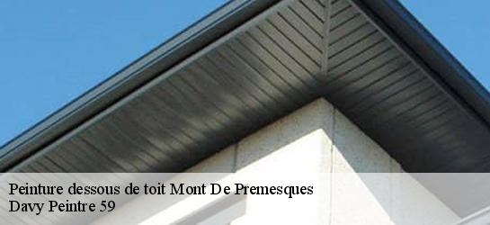 Peinture dessous de toit  59840