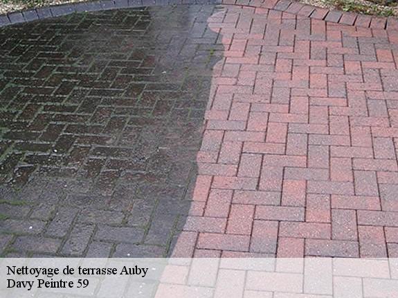 Nettoyage de terrasse  auby-59950 Davy Peintre 59