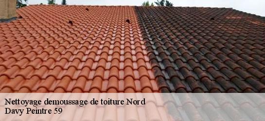 Nettoyage demoussage de toiture Nord 