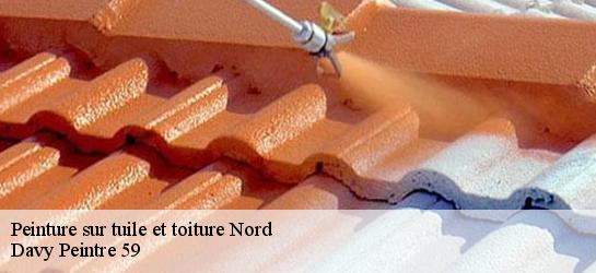 Peinture sur tuile et toiture Nord 