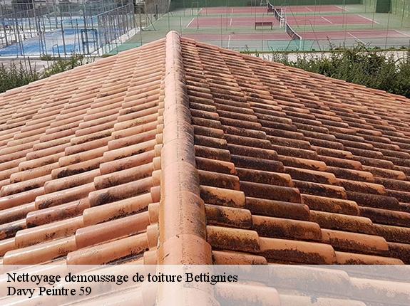 Nettoyage demoussage de toiture  bettignies-59600 Davy Peintre 59