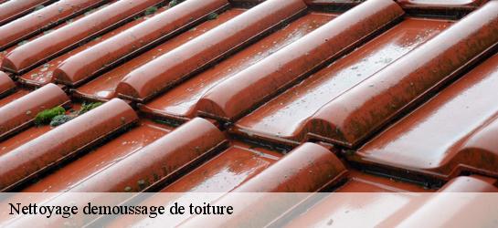 Nettoyage demoussage de toiture  59189