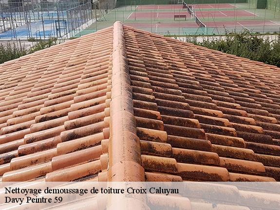 Nettoyage demoussage de toiture  croix-caluyau-59222 Davy Peintre 59