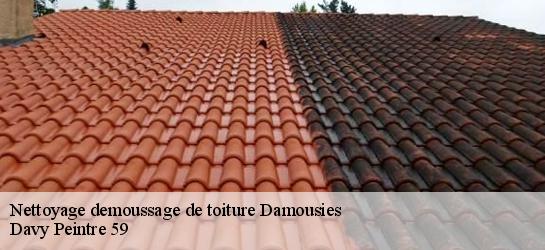 Nettoyage demoussage de toiture  59680