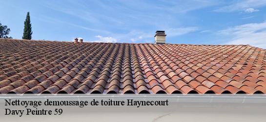 Nettoyage demoussage de toiture  59265