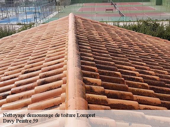 Nettoyage demoussage de toiture  lompret-59840 Davy Peintre 59