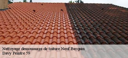 Nettoyage demoussage de toiture  59940