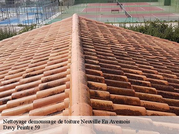 Nettoyage demoussage de toiture  neuville-en-avesnois-59218 Davy Peintre 59
