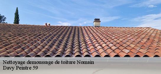 Nettoyage demoussage de toiture 59310