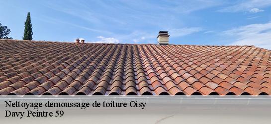 Nettoyage demoussage de toiture  59195