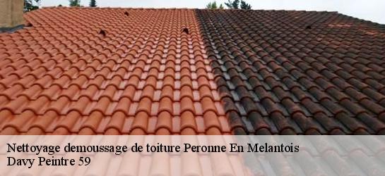 Nettoyage demoussage de toiture  59273