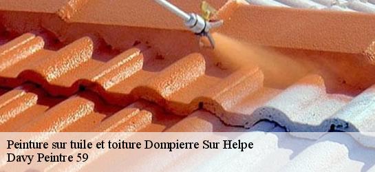 Peinture sur tuile et toiture  59440