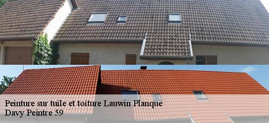 Peinture sur tuile et toiture  59553