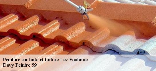 Peinture sur tuile et toiture  59740