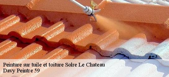 Peinture sur tuile et toiture  59740