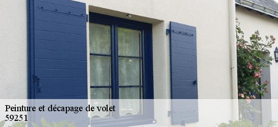 Peinture et décapage de volet  59251