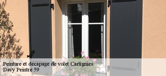 Peinture et décapage de volet  59244