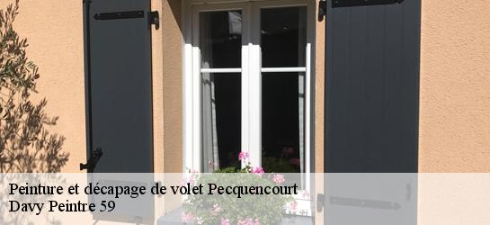 Peinture et décapage de volet  59146