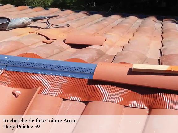 Recherche de fuite toiture  anzin-59410 Davy Peintre 59