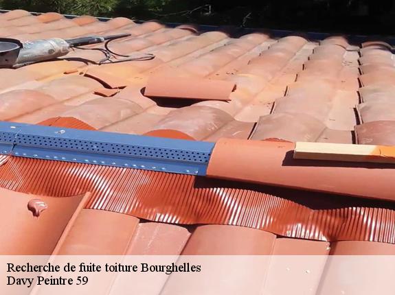 Recherche de fuite toiture  bourghelles-59830 Davy Peintre 59